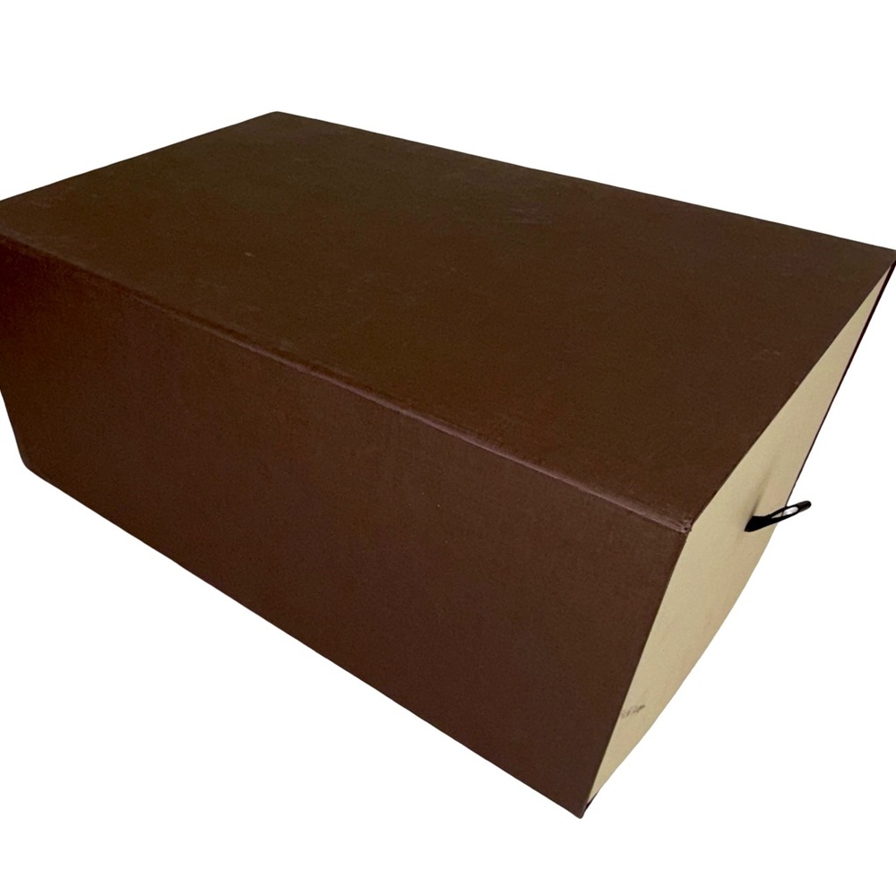 LIUIS VUITTON SHOE BOX